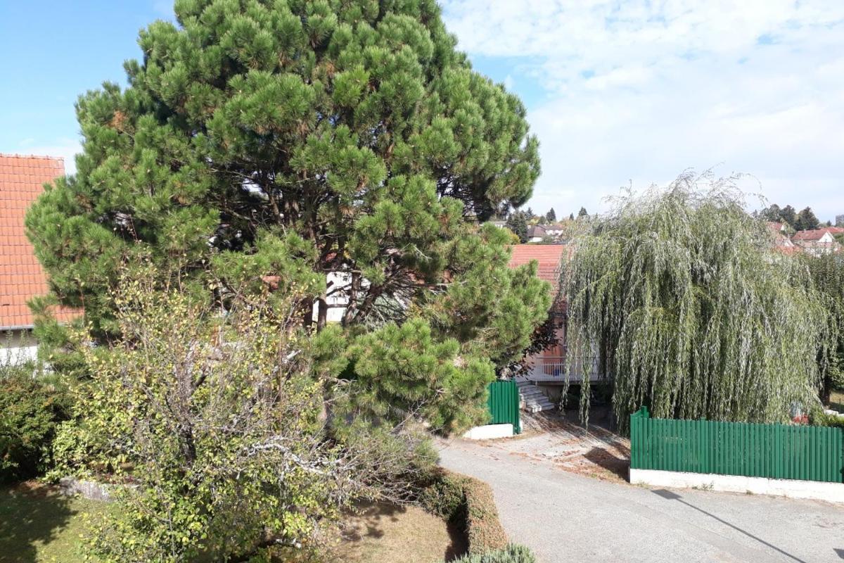 Appartement Independant A Proximite De Belfort Essert Εξωτερικό φωτογραφία